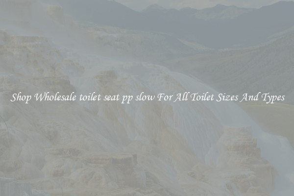 Shop Wholesale toilet seat pp slow For All Toilet Sizes And Types