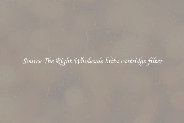 Source The Right Wholesale brita cartridge filter