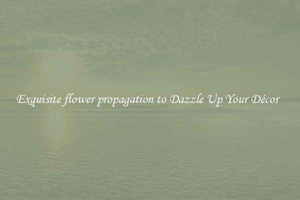 Exquisite flower propagation to Dazzle Up Your Décor  