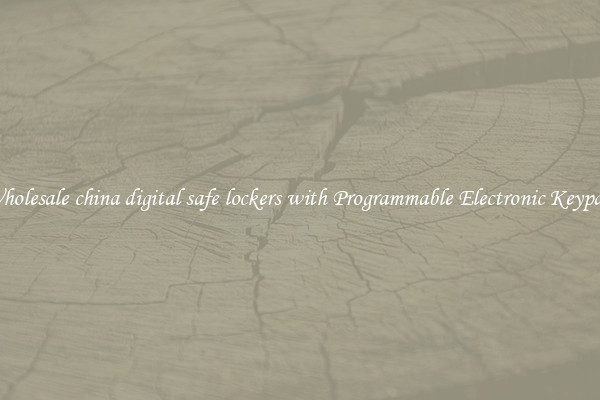 Wholesale china digital safe lockers with Programmable Electronic Keypad 