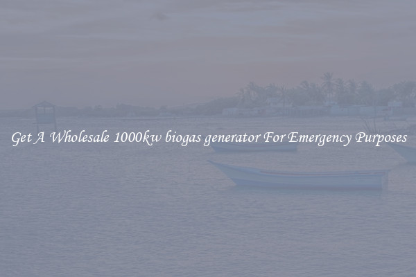 Get A Wholesale 1000kw biogas generator For Emergency Purposes