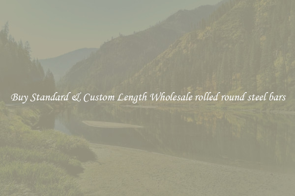 Buy Standard & Custom Length Wholesale rolled round steel bars