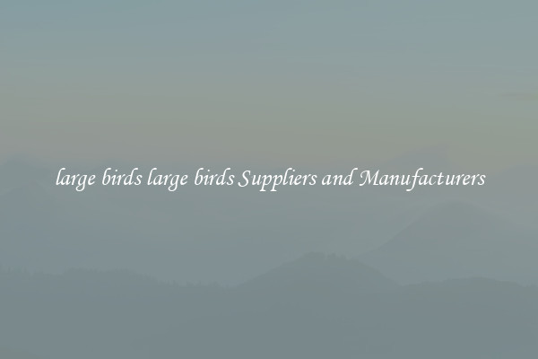 large birds large birds Suppliers and Manufacturers