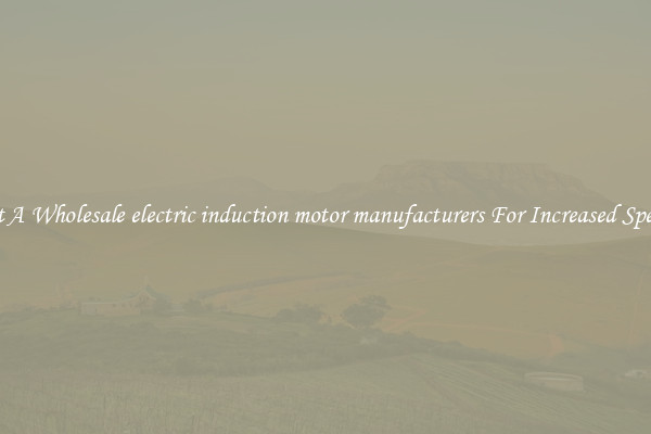 Get A Wholesale electric induction motor manufacturers For Increased Speeds