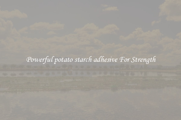 Powerful potato starch adhesive For Strength