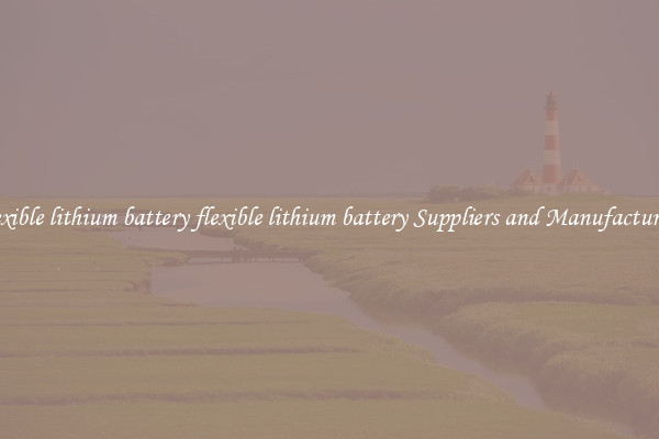 flexible lithium battery flexible lithium battery Suppliers and Manufacturers