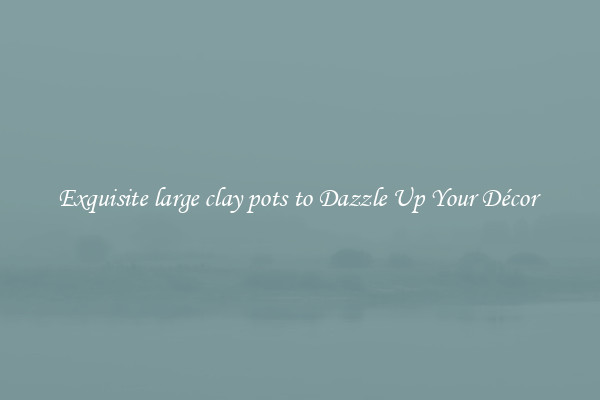Exquisite large clay pots to Dazzle Up Your Décor 