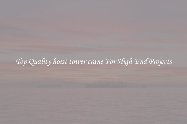 Top Quality hoist tower crane For High-End Projects