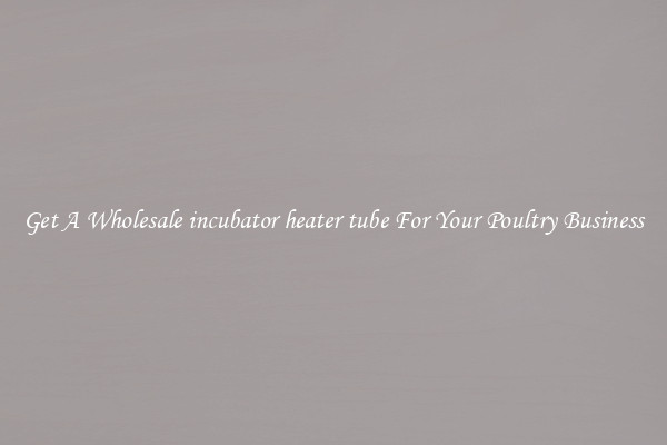 Get A Wholesale incubator heater tube For Your Poultry Business