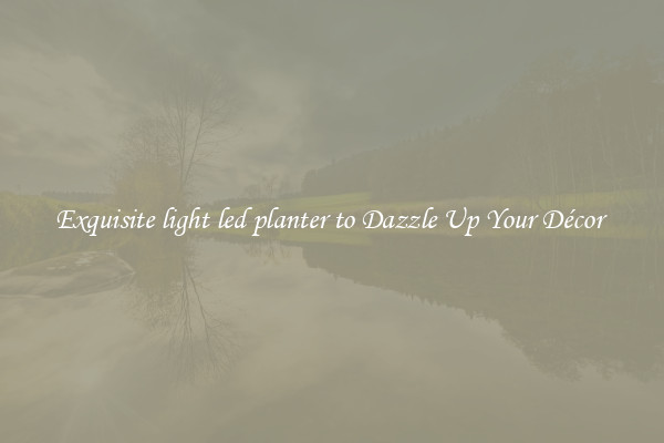 Exquisite light led planter to Dazzle Up Your Décor 