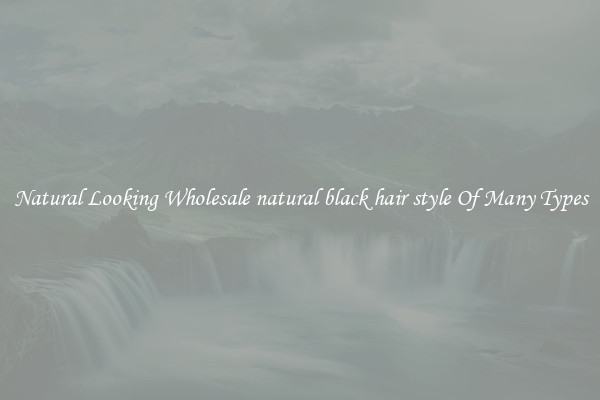 Natural Looking Wholesale natural black hair style Of Many Types