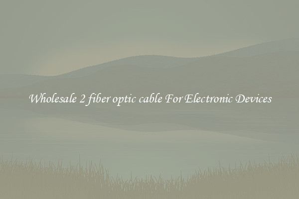 Wholesale 2 fiber optic cable For Electronic Devices