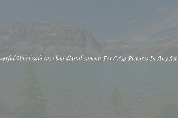 Powerful Wholesale case bag digital camera For Crisp Pictures In Any Setting