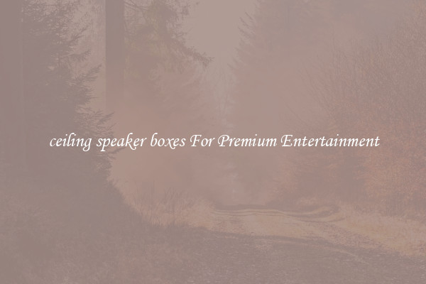 ceiling speaker boxes For Premium Entertainment